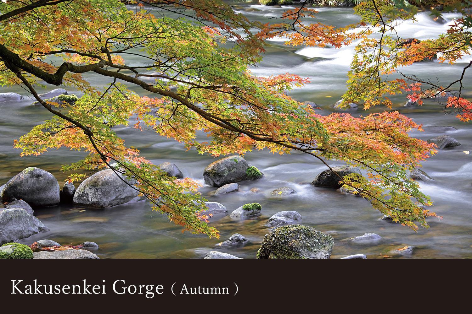 Yamanaka Onsen Kissho Yamanaka Hotel Kaga  Eksteriør billede